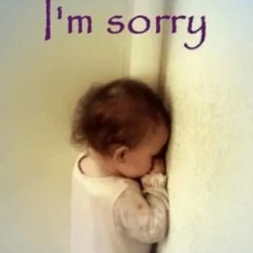 Bộ meme xin lỗi dễ thương khiến ai cũng muốn tha thứ
