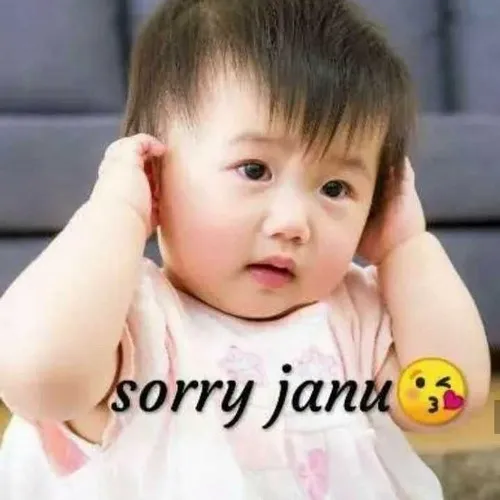 Meme xin lỗi: pha chút hài, chút thật, và nhiều chân thành