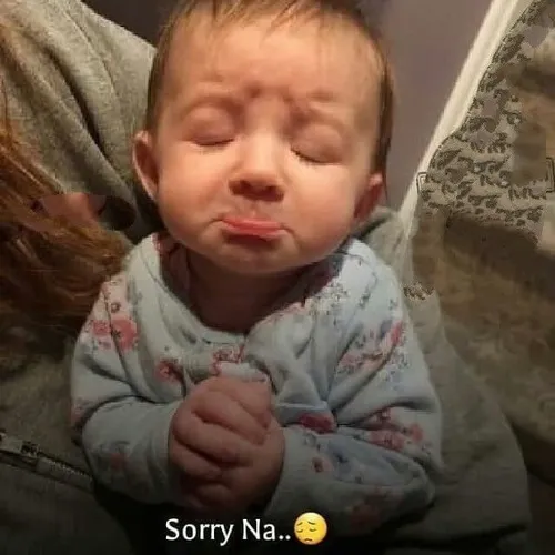 Khi lời xin lỗi trở nên nhẹ nhàng nhờ meme hài hước