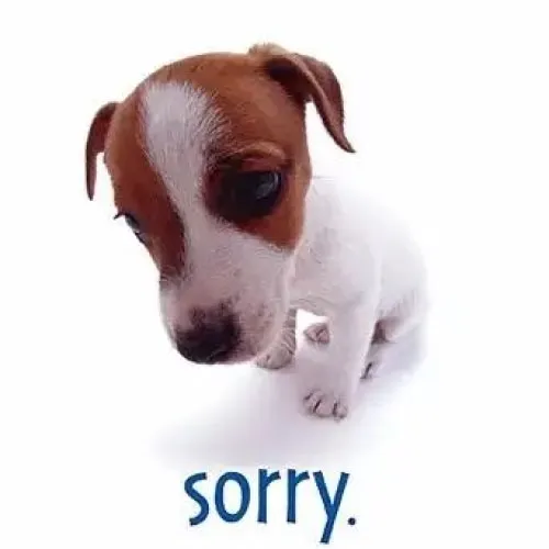 Meme hài ăn năn giúp câu chuyện xích lại gần nhau