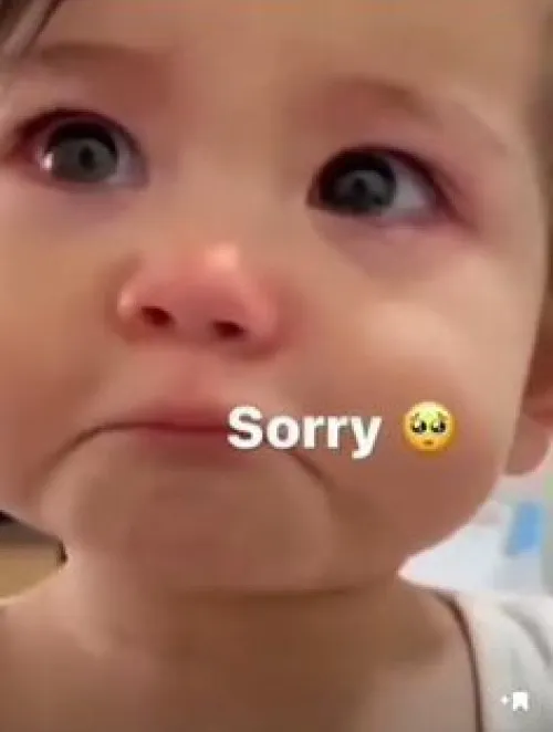 Ảnh chế cầu hòa thể hiện hành động làm lành đáng yêu