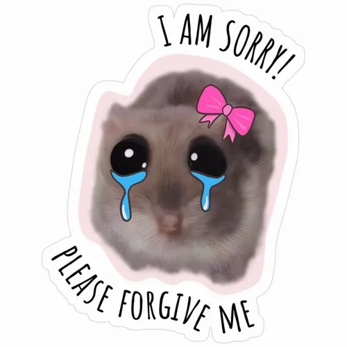 Cười mà thương với loạt meme xin lỗi đầy cảm xúc