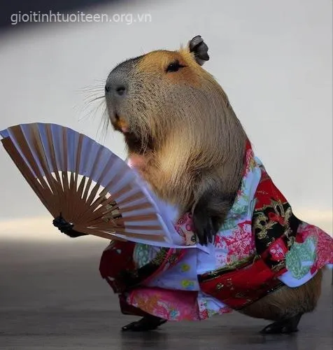 Ảnh avatar capybara mang vẻ lạnh lùng bí ẩn.