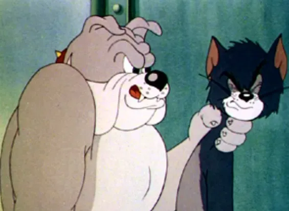 Những tấm ảnh mèo Tom gây bão mạng vì độ “thật như cuộc đời”