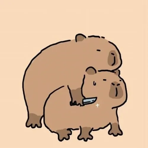 Capybara trầm tính phối caption đời thường tạo hiệu ứng cười nhẹ