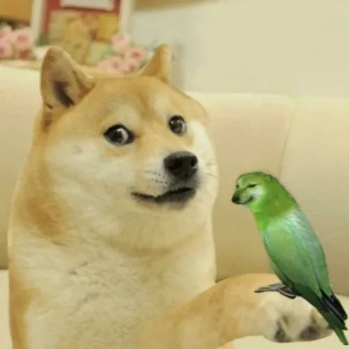 Meme chế Cheems và Doge tranh cãi chuyện nhỏ xíu