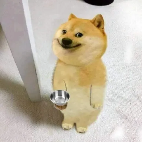 Meme hài Cheems tạo trend “buồnnn” lan TikTok