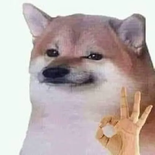 Meme hài Cheems ngây ngô nhưng thân thiện hết nấc