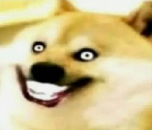 Meme hài Cheems ngồi nghiêng nhìn xa xăm cực lầy