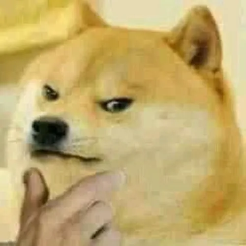 Ảnh chế chú chó đơ nhìn xa tạo cảm giác chill