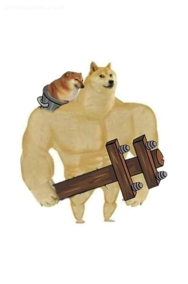 Chú chó Cheems cơ bắp cầm cây cột lớn