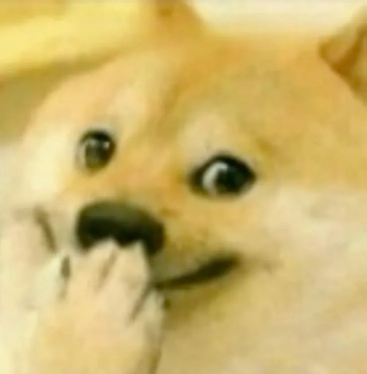 Hình chế chó Shiba với thần thái “chế giễu nhẹ”