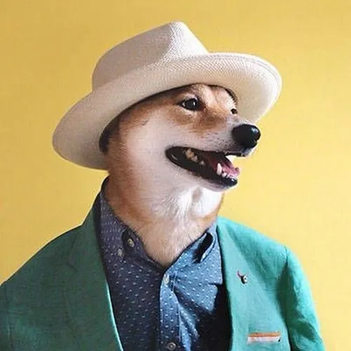 Khi boss hóa doanh nhân: chó mặc vest sang trọng hết nấc