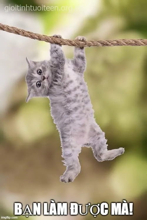 Meme hài hước truyền năng lượng tích cực cho Gen Z