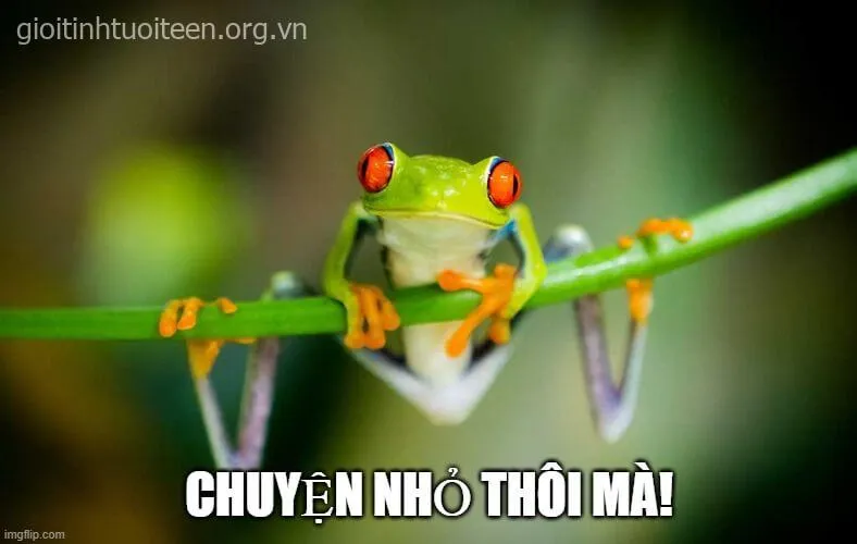 Meme vui nhắn gửi tinh thần nỗ lực không bỏ cuộc đến mọi người