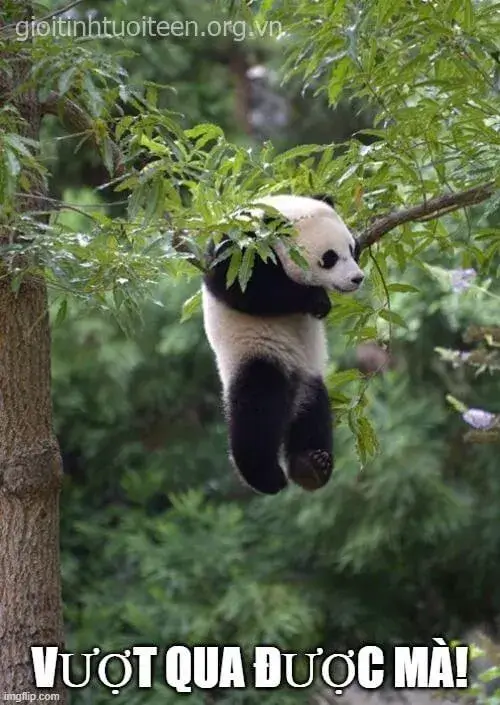 Ảnh troll khích lệ mạnh mẽ lên để hoàn thành công việc