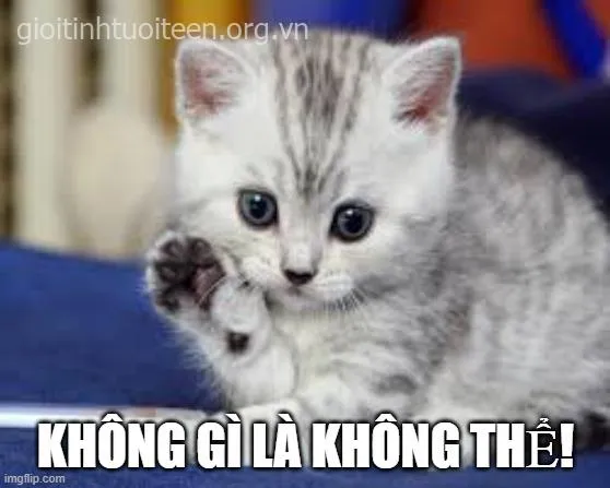 Hình chế meme phấn đấu giúp dân công sở bật cười vui vẻ