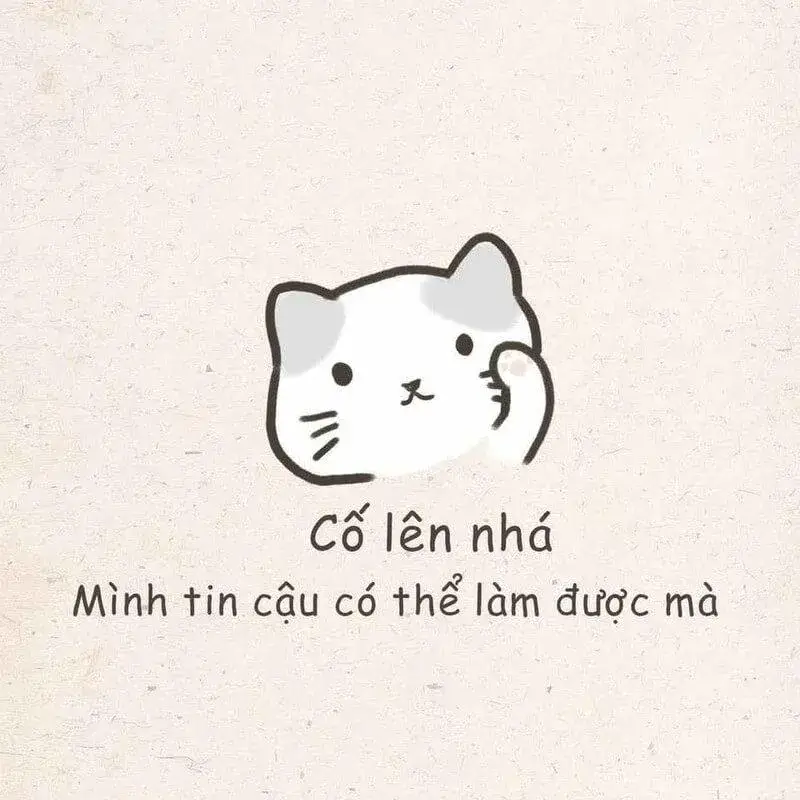 Meme hài cố lên gửi năng lượng tích cực khắp mạng xã hội