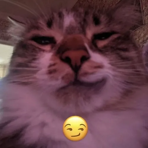 Meme cười nửa miệng mang sắc thái hiểm hóc