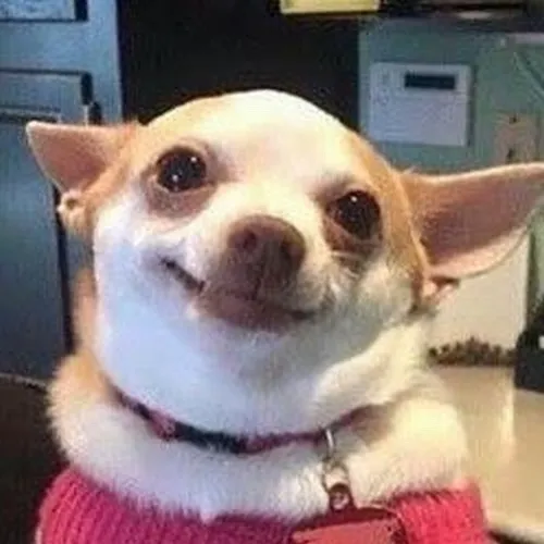 Cười đểu – biểu cảm nhỏ nhưng sức công phá cực lớn