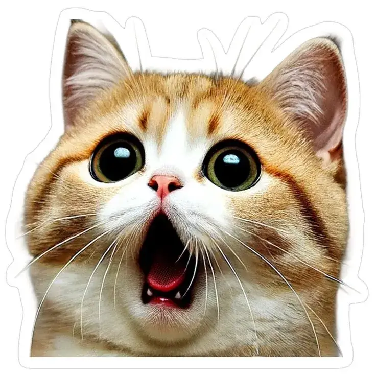 Ảnh chế phản ứng quá khích khiến dân mạng cười lăn