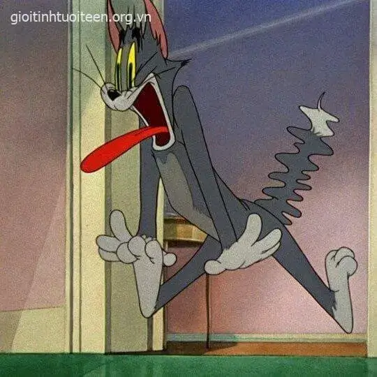 Biểu cảm mèo giật mình há mồm cực sốc