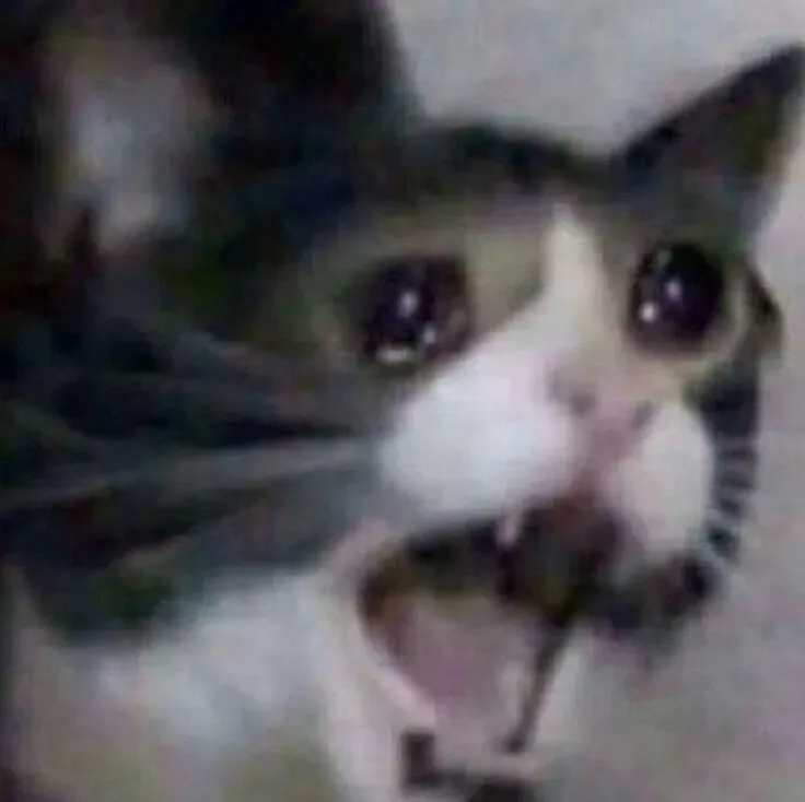 Ảnh meme vui zoom cận mặt khiến ai xem cũng thích