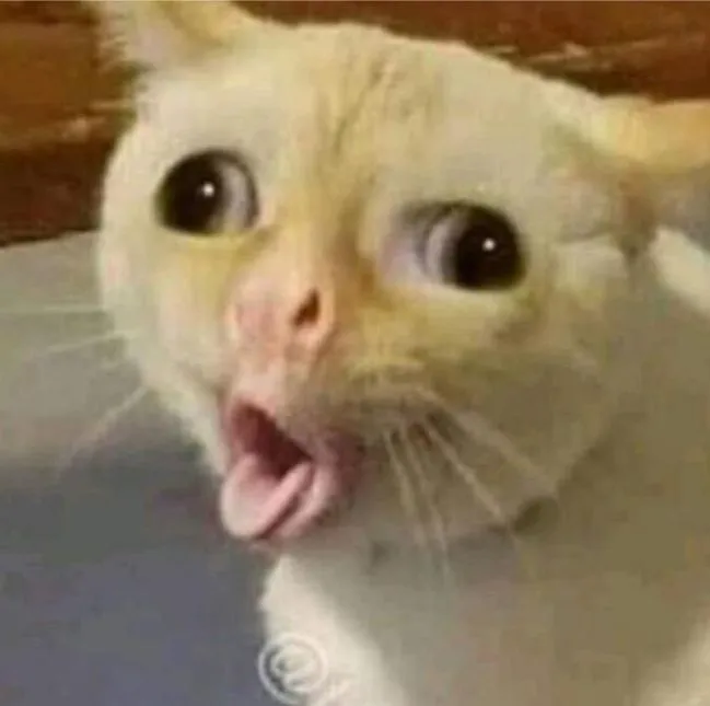 Ảnh chế mèo ngỡ ngàng khiến dân mạng phì cười