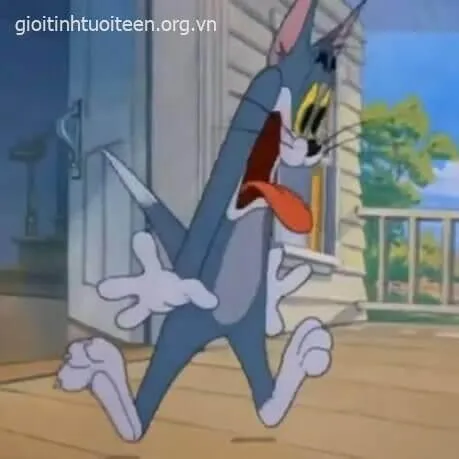 Meme mèo Tom hài miệng mở rộng tạo cảm xúc quá khích