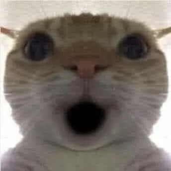 Meme mèo há mồm và khoảnh khắc biểu cảm khó đỡ nhất