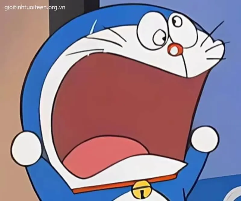 Ảnh vui mèo há hốc khiến caption “gì cơ” viral