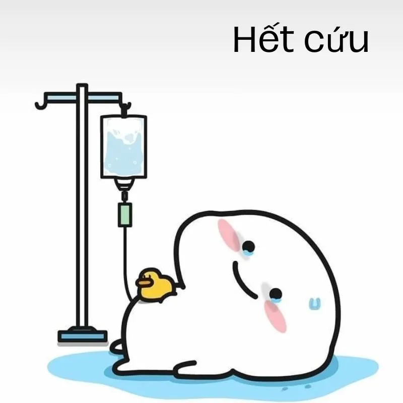 Ảnh chế chịu trận cực bắt trend mạng xã hội