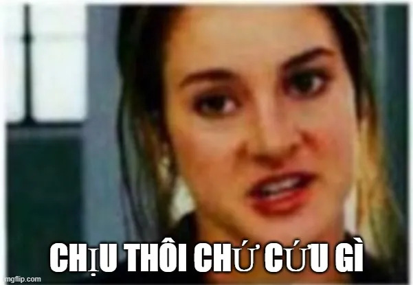 Bộ sưu tập meme bất lực thể hiện đỉnh cao của sự chấp nhận số phận