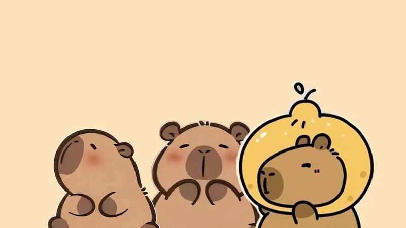 80 Hình Nền Capybara cute cho điện thoại cho người thích chậm rãi an yên