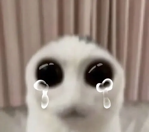 Meme khóc – khi cảm xúc đau buồn được thể hiện một cách siêu mặn