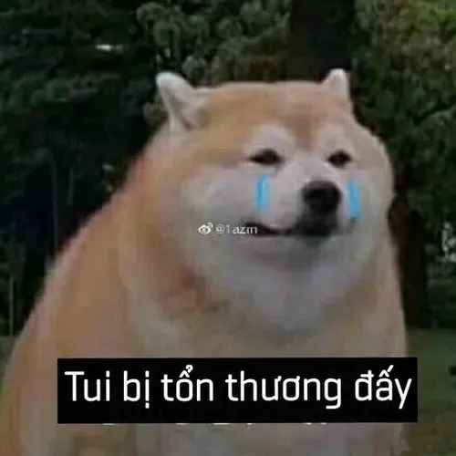 Ảnh vui idol khóc cosplay nhân vật hoạt hình