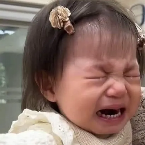 Khi meme khóc khiến dân mạng vừa thương vừa cười không ngớt