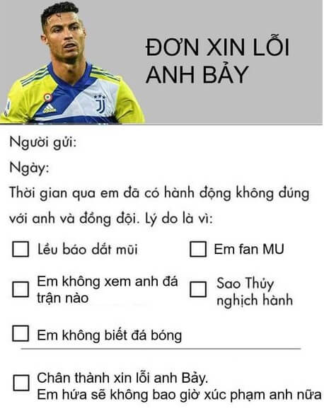 Meme đơn xin lỗi phong cách hành chính lan truyền cực nhanh mạng xã hội