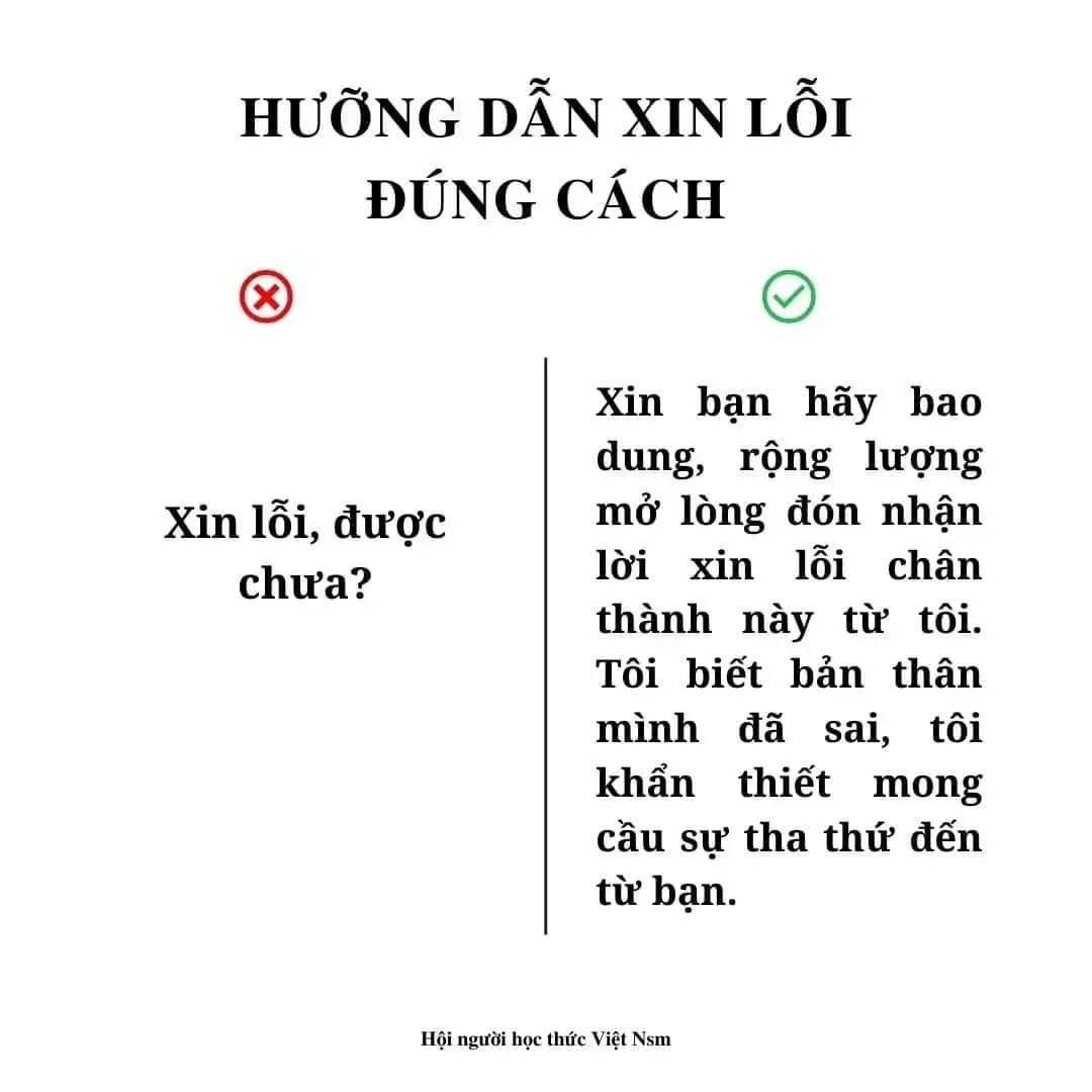 Meme chế đơn xin lỗi bạn thân với dòng cam kết không tái phạm