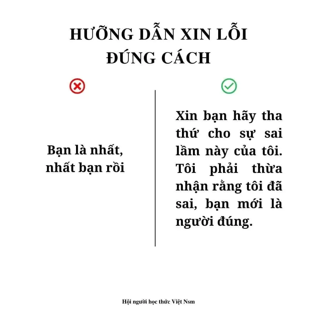 Meme vui đơn xin lỗi gia đình vì lỡ nấu cháy nồi cơm