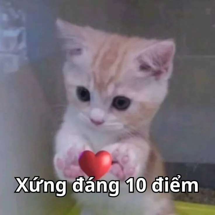 Meme vui biểu cảm tự nhiên “chuẩn mood khen ngợi”