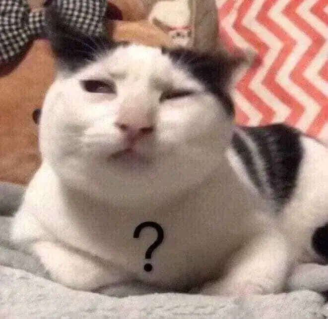 Meme mèo biểu cảm khó chịu cực hợp caption “nói gì kỳ vậy?”