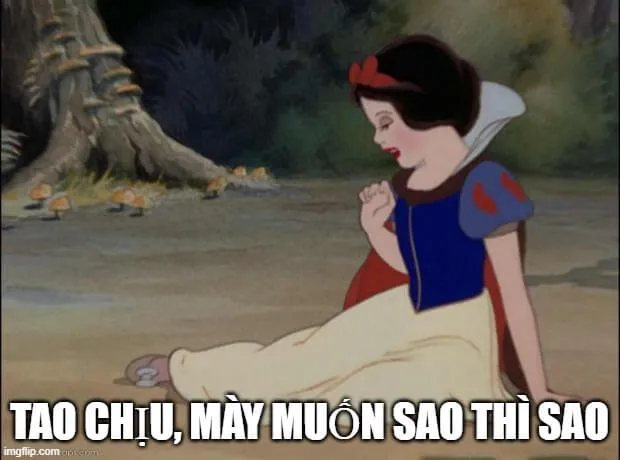 Meme bó tay thể hiện tâm trạng bất lực chung