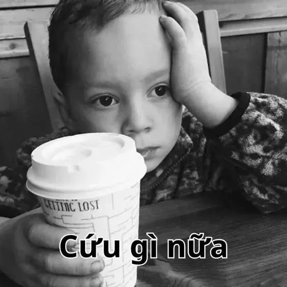 Meme hài hước bất lực, tạo cảm giác bó tay toàn tập.