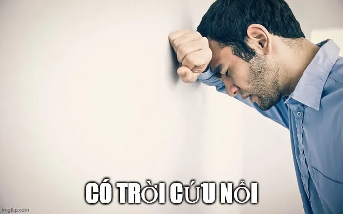 Ảnh troll hết cứu mang nét mỉa mai dễ thương