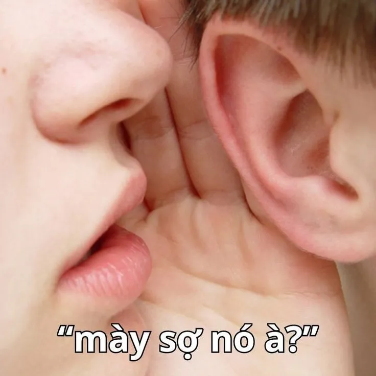 Meme hài bạn sợ à tạo không khí cà khịa nhẹ nhàng nhưng vui nhộn