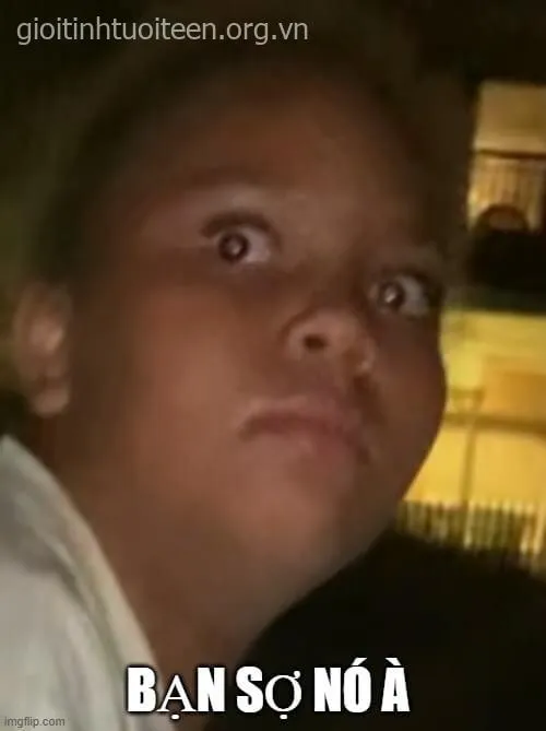 Cách meme bạn sợ à ếch ộp khiến hội bạn cười ngã ghế