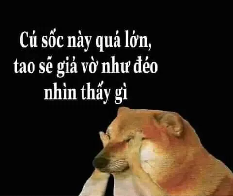 Meme sửng sốt ánh mắt tròn xoe, gương mặt quê độ