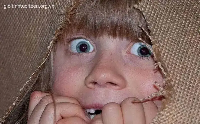 Bộ sưu tập meme sốc khiến ai cũng thấy mình từng như thế