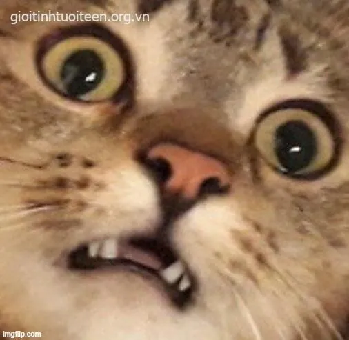 Meme chế kiểu “nhìn tin nhắn xong tắt máy luôn”.